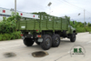 EQ2082E6D 6WD Truck_Dongfeng 140 остроконечный однорядный внедорожный грузовик_6×6 Dongfeng Грузовик по индивидуальному заказу Экспортный специальный автомобиль