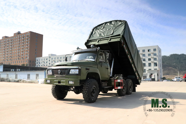 6*6 EQ2082 Off Road Truck_Dongfeng Грузовой грузовик с однорядной кабиной с наклонной головкой_Изготовитель модификации_Шестиколесный экспортный автомобиль специального назначения