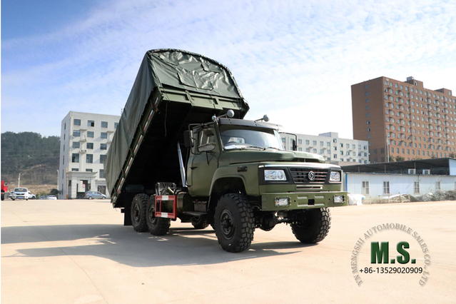 6*6 EQ2082 Off Road Truck_Dongfeng Грузовой грузовик с однорядной кабиной с наклонной головкой_Изготовитель модификации_Шестиколесный экспортный автомобиль специального назначения