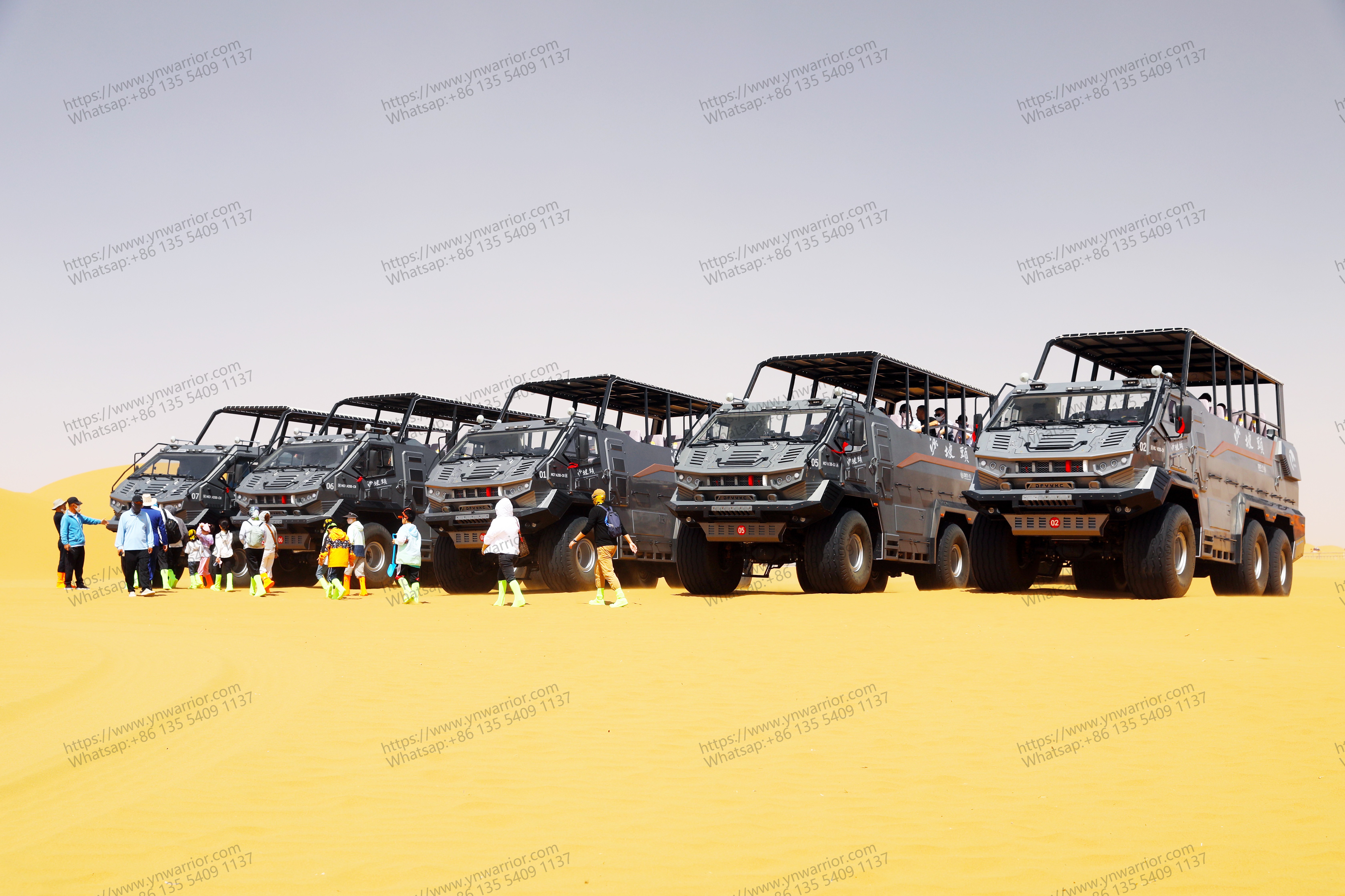 Desert Cruiser Fleet So Cool в пустыне Tourism 