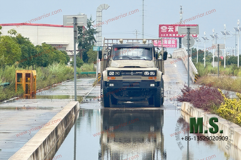 Dongfeng Грузовик 4x4 с двойными задними шинами tyre_crossing стрим-тест 