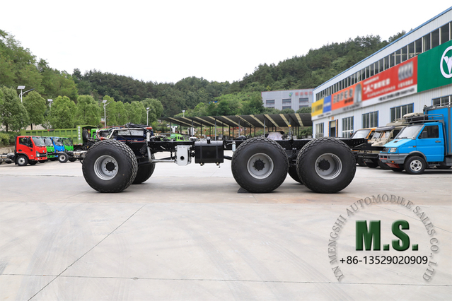 375 л.с., 30 тонн Полная масса 6x6 Massive Desert Cruiser Экскурсионный автобус Роликовое шасси_Коробка передач с винтовой передачей, блокировка дифференциала, редуктор трения, шины для пустыни_ Прямая продажа от производителя