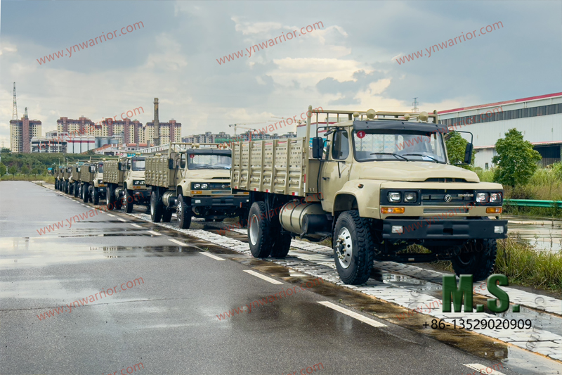 Dongfeng Грузовик 4x4 с задними двойными шинами_рокс испытание на пересечение дороги 