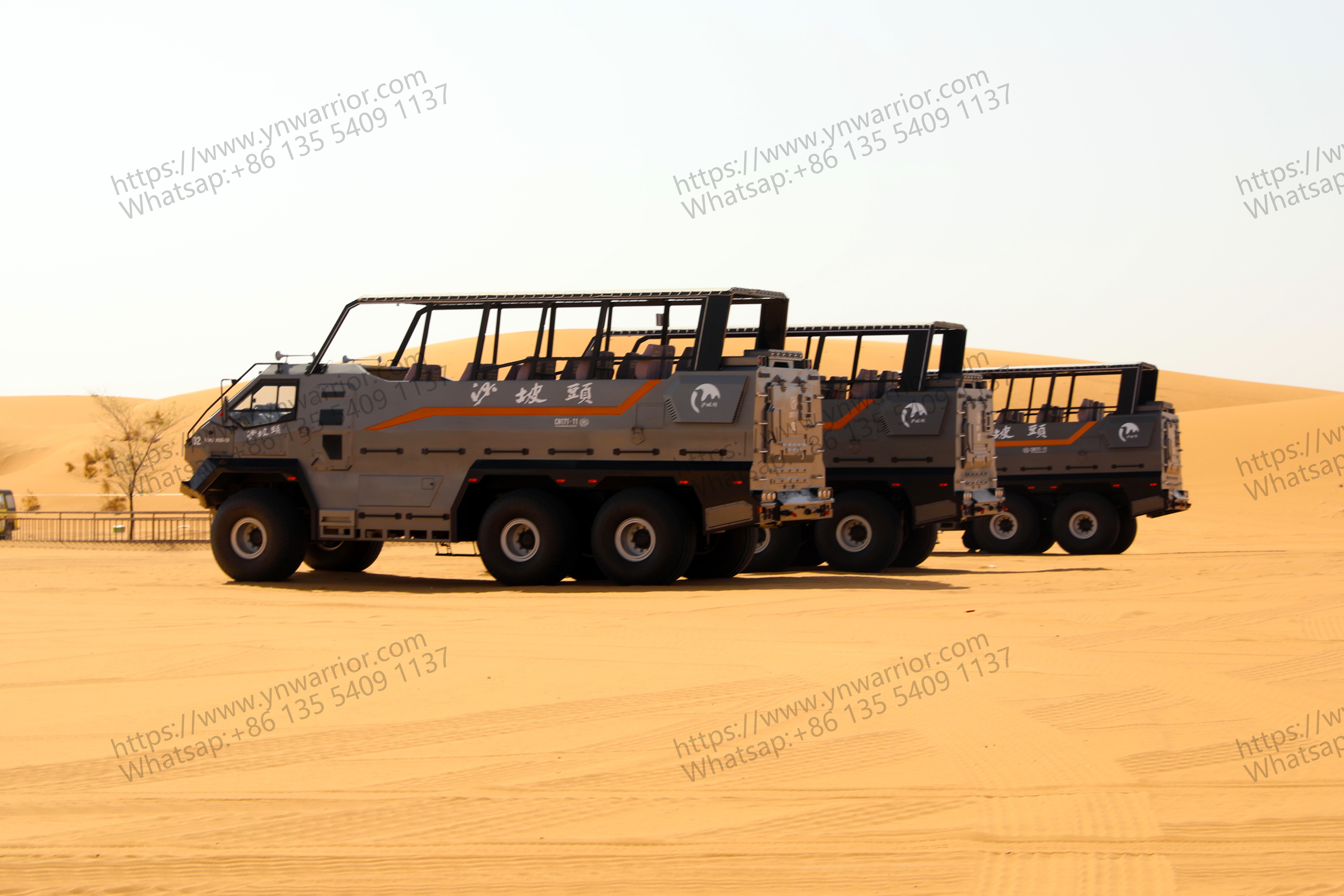 Массив Desert Cruiser автобусный флот 