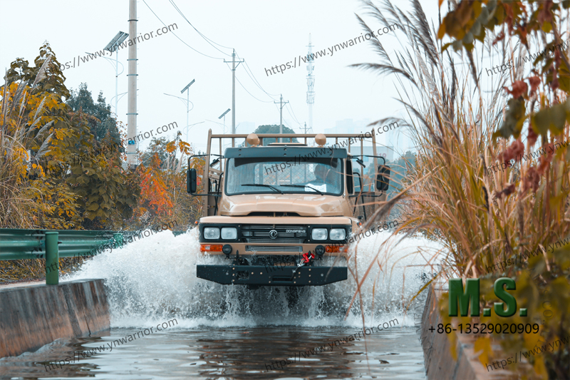 Dongfeng прочного грузового грузового грузовика 