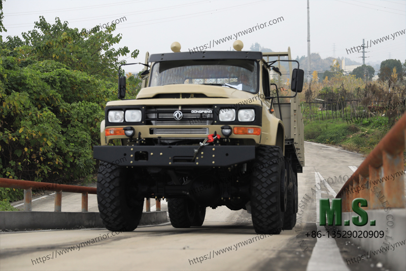 Dongfeng 