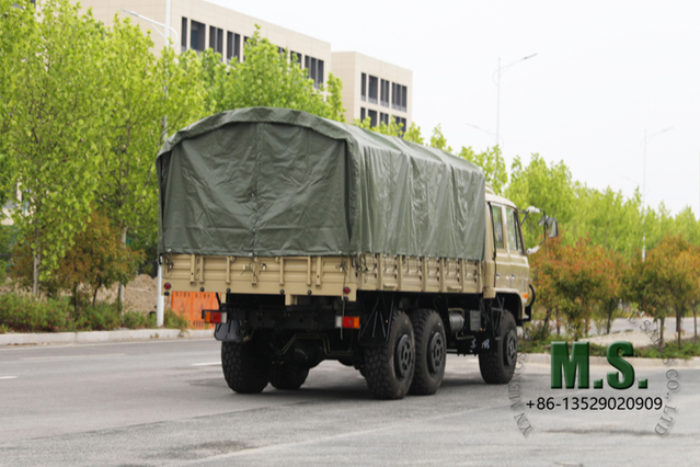 210-сильная 11-тонная грузоподъемность военный грузовик со съемным дождем Tarpaulin_hydraulic запасной стойки для шин, складные сиденья, солдат-грузовик, задняя электрическая лебедка, CTIS на tyre_manufacture Direct