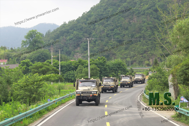 Dongfeng truck fleet В горе 